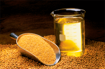 Soybean oil